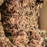 Дом отдыха House Arija