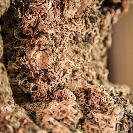 Feriehus House Arija