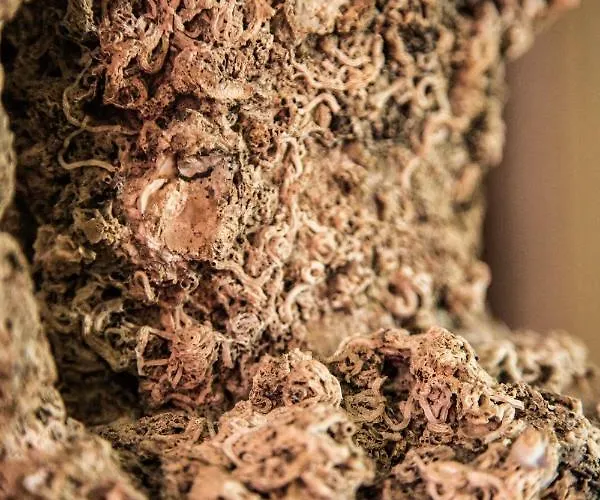 Σπίτι διακοπών House Arija